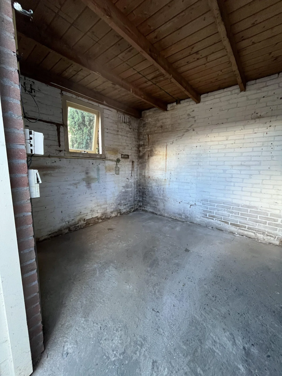 Na: Woningontruiming, Den Bosch (Noord-Brabant)